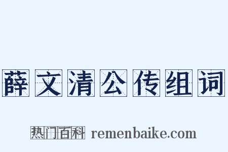 薛文清公传组词是什么意思的图片